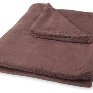 Pleed Amiplay Scandi