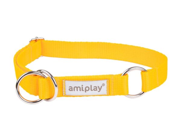 Amiplay poolpoov kaelarihm Samba